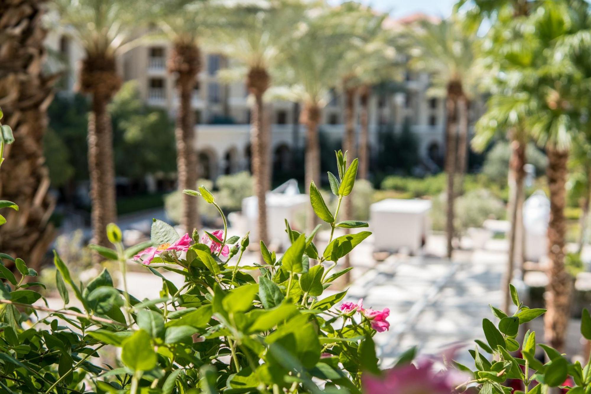Green Valley Ranch Resort Spa Casino Las Vegas Exterior foto